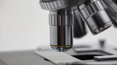 What Happened to 100 D-Marks -- The Euro Purchasing Power Comparison