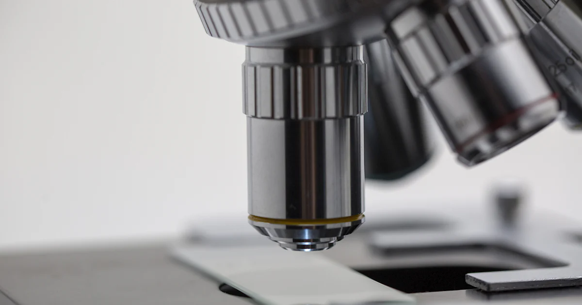 What Happened to 100 D-Marks -- The Euro Purchasing Power Comparison