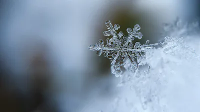 Winterreifenpflicht in Deutschland: Alpine-Symbol, Bußgeld und Profiltiefe
