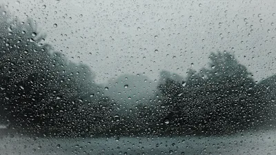 Condensation on Windows: Why Panes Fog Up and What You Can Do