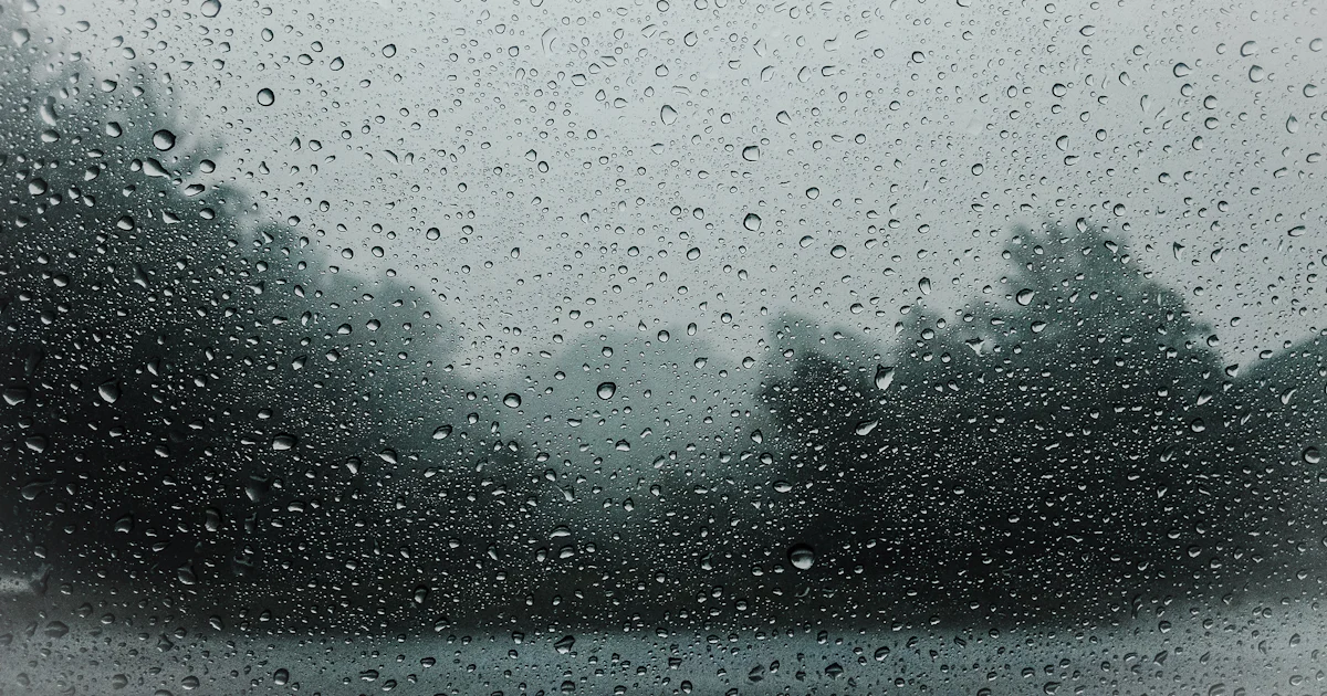 Condensation on Windows: Why Panes Fog Up and What You Can Do