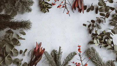 Jahressonderzahlung 2026: So viel Weihnachtsgeld gibt es im TVöD und TV-L